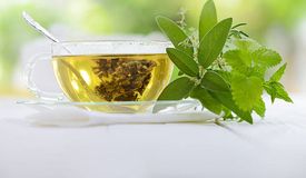 GREEN HERBAL TEA DOUBLE